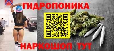 прущая мука Будённовск