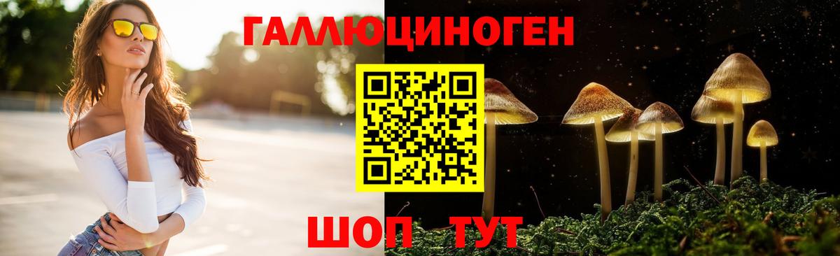 Псилоцибиновые грибы прущие грибы Петропавловск-Камчатский